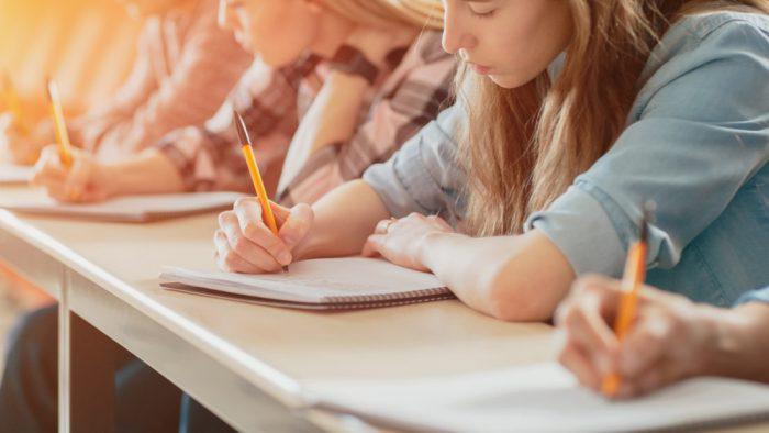 educacion superior