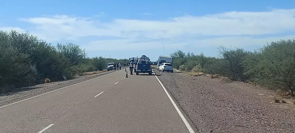 WhatsApp Image 2023-02-27 at 12.48.02