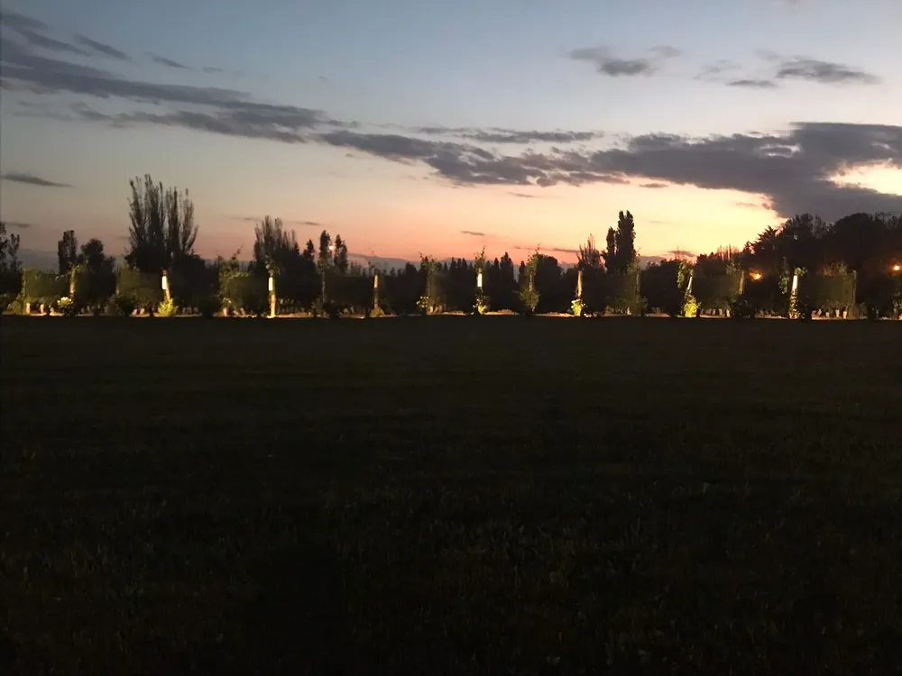 bodega_lamadrid_atardecer