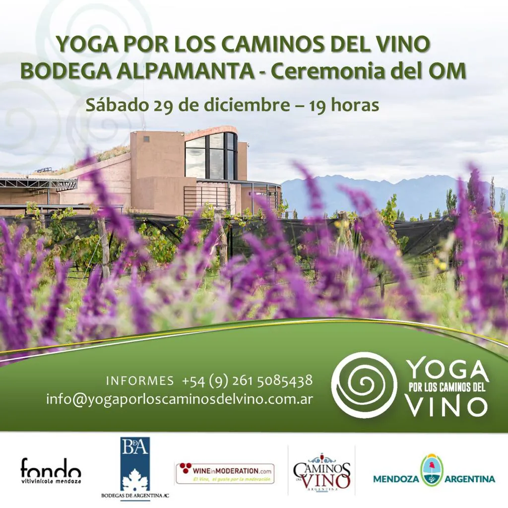 yoga x los caminos