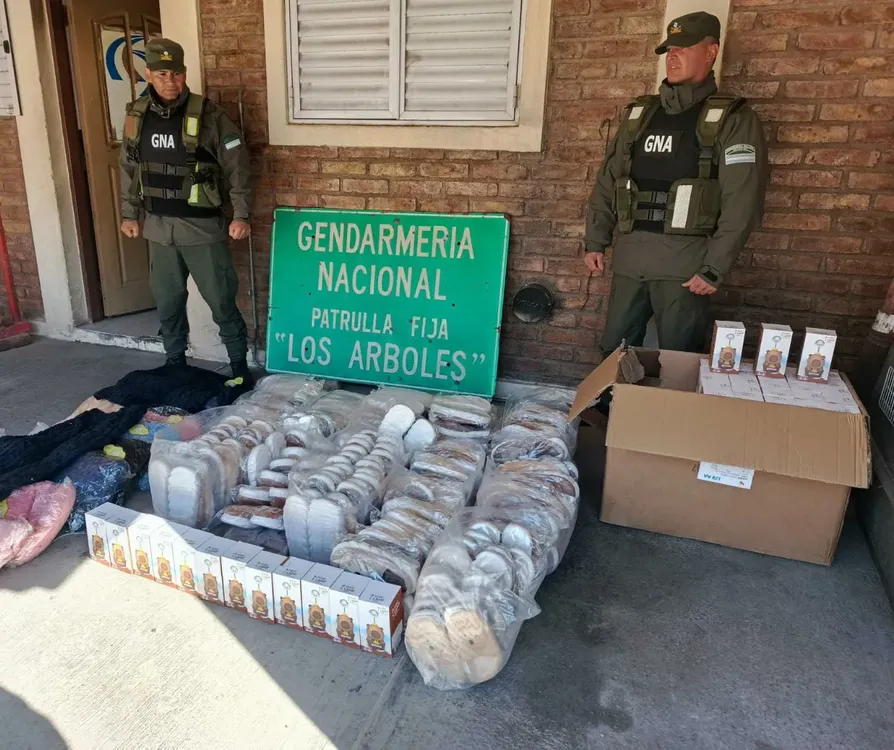Mercadería contrabando Mendoza (6)