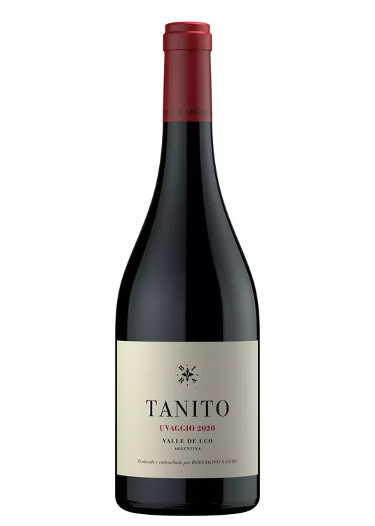 Tanito 2020[1]