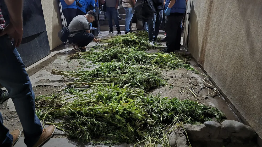 WhatsApp Image 2026-04-03 at 2.44.17 PM