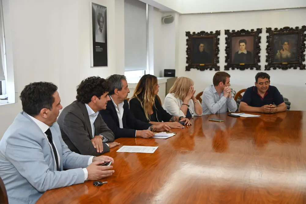 cambios licencias conducir 2