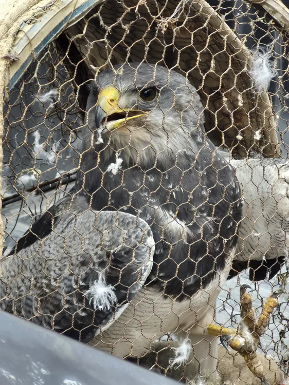 WhatsApp-Image-2025-07-26-at-09.26.02