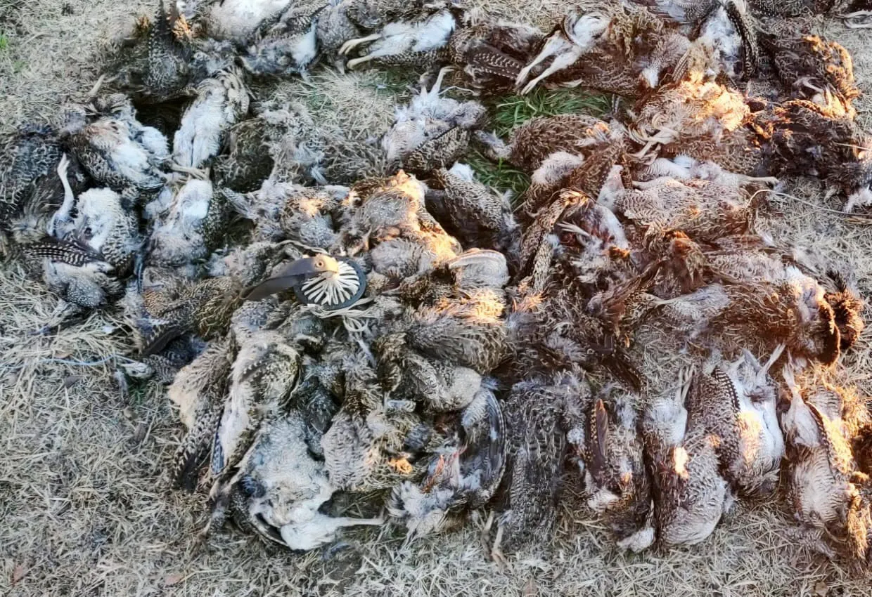 WhatsApp Image 2025-07-12 at 10.59.32 PM