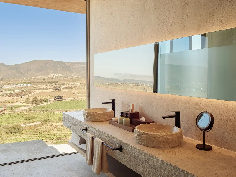 Banyan Tree Veya Valle de Guadalupe