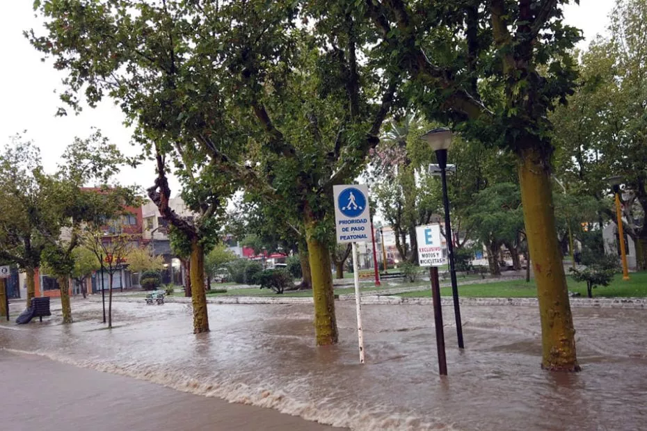 WhatsApp Image 2023-03-22 at 17.29.27