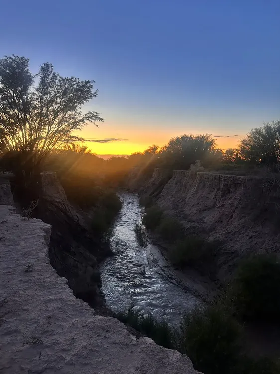 WhatsApp Image 2025-01-26 at 7.56.39 PM (1)