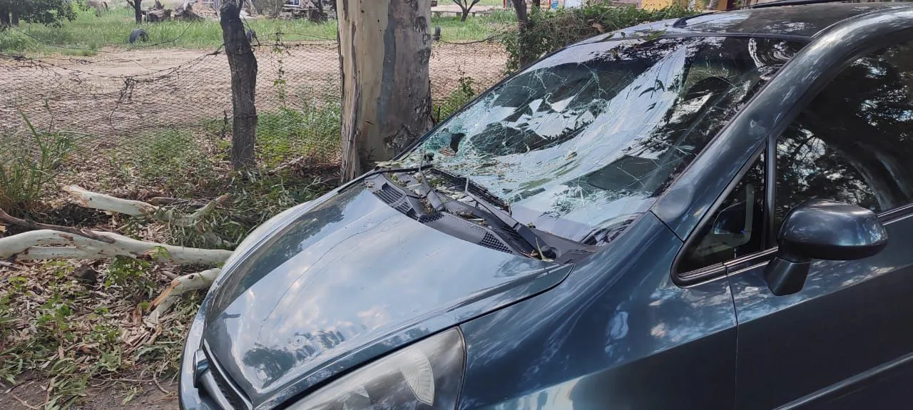 WhatsApp Image 2025-01-05 at 10.19.34 PM