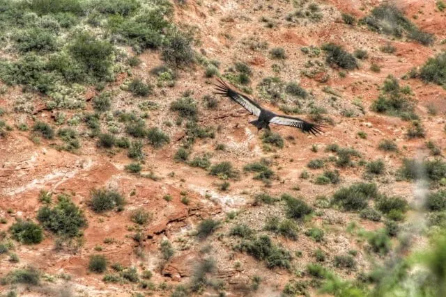 PO-Sierra-de-Las-Quijadas-VIII