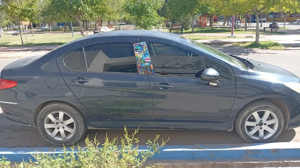 WhatsApp Image 2026-01-28 at 2.13.50 PM