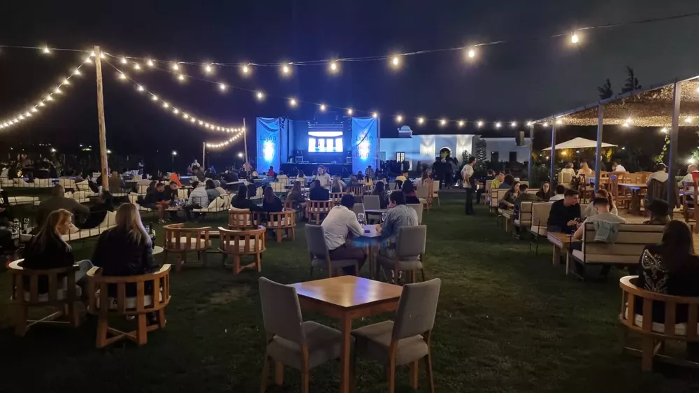 Vendimia en las bodegas 2023