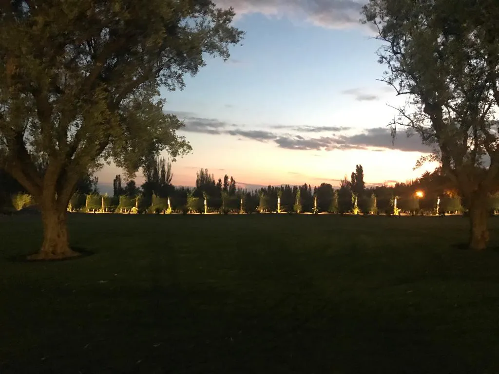 bodegalamadrid_atardecer