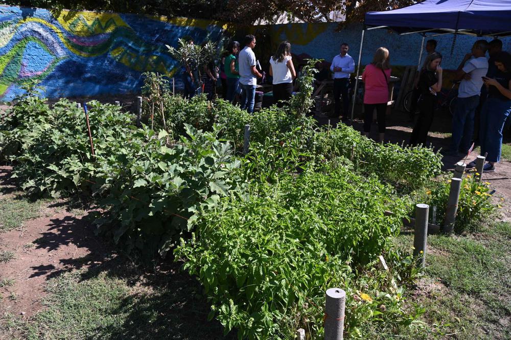 Costarelli Lia Martinez 3