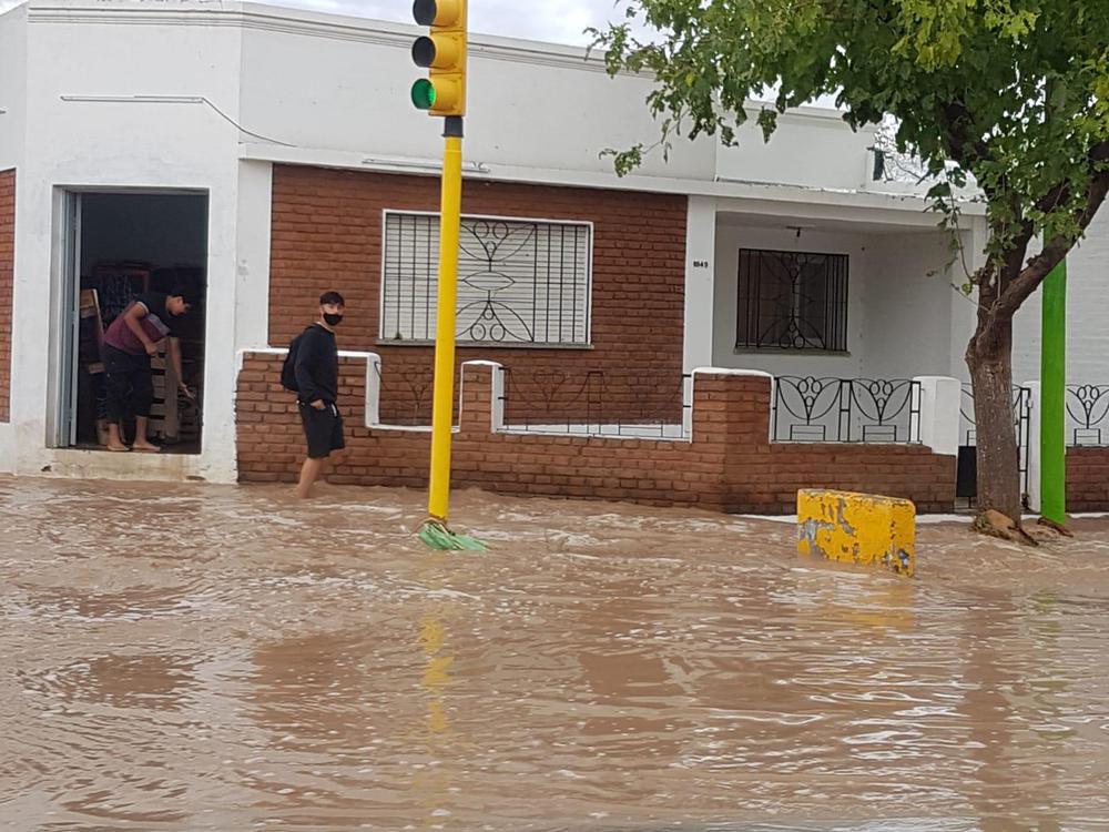 WhatsApp Image 2021-03-01 at 21.59.52