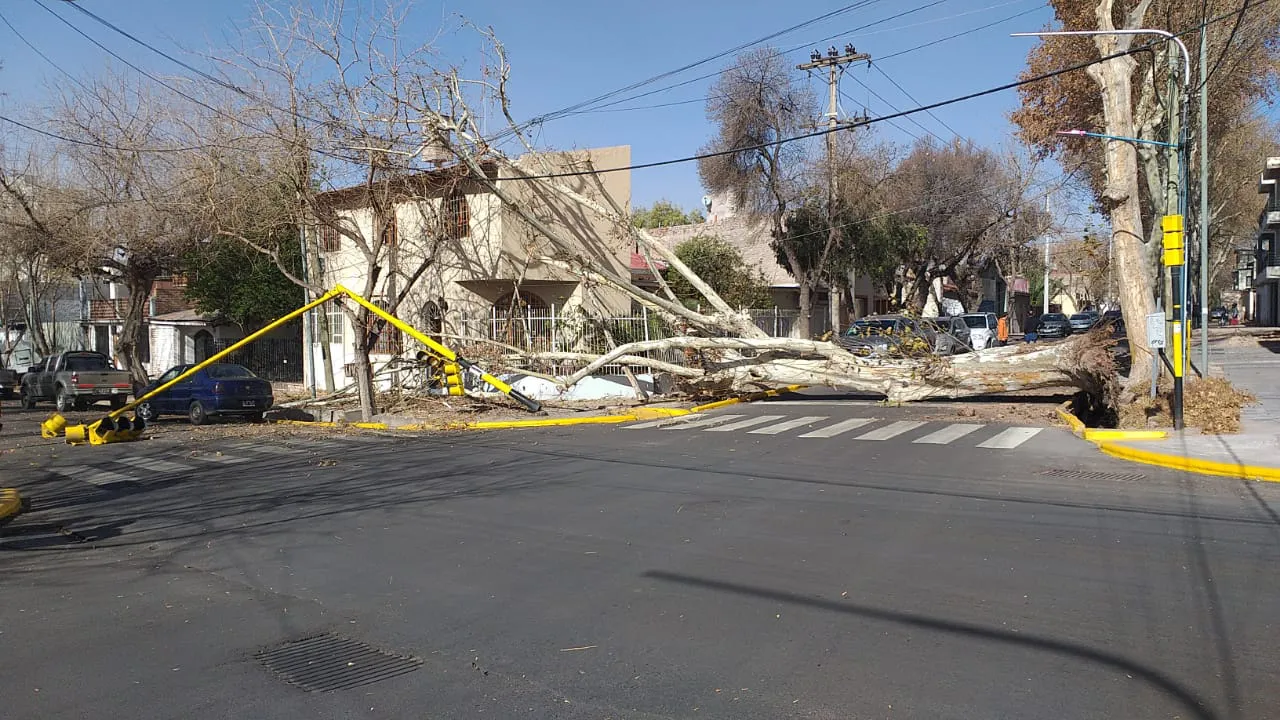 WhatsApp Image 2023-07-21 at 19.36.25 (2)