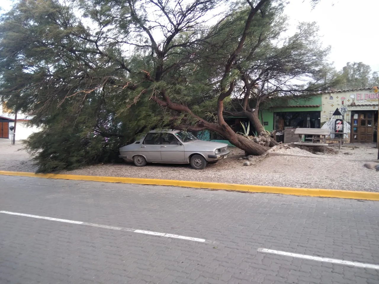 WhatsApp Image 2023-07-21 at 19.36.25