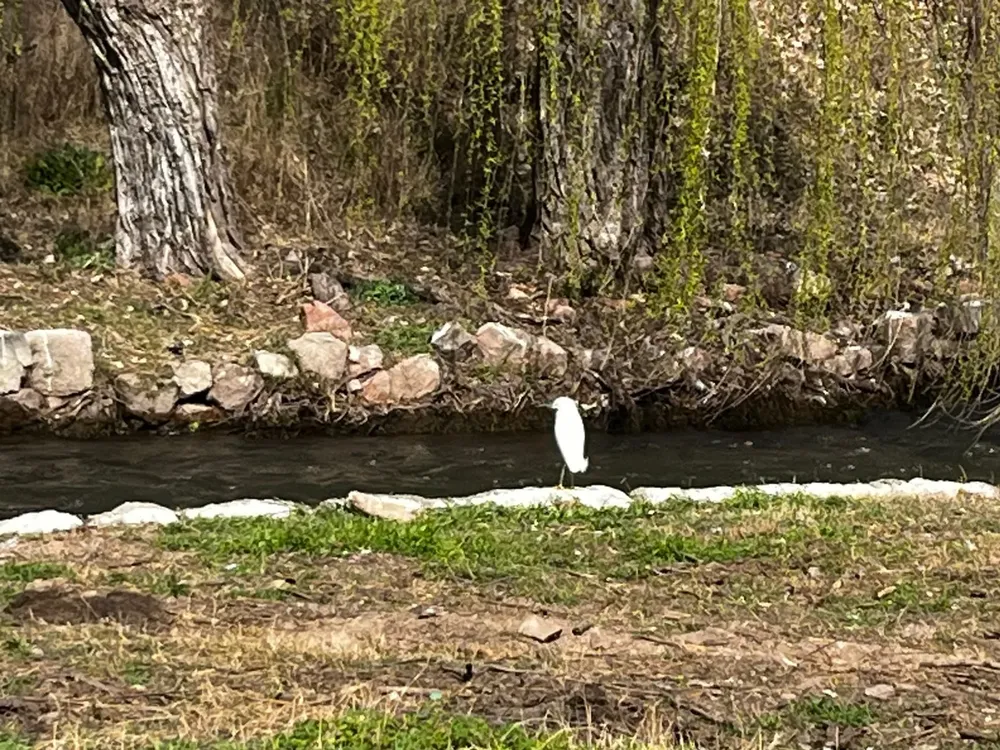 Garza San Felipe