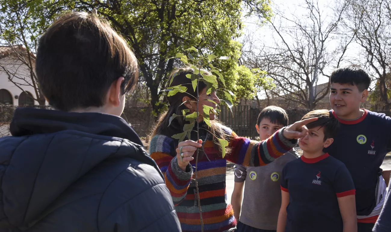 Cierre Mes del árbol (20)