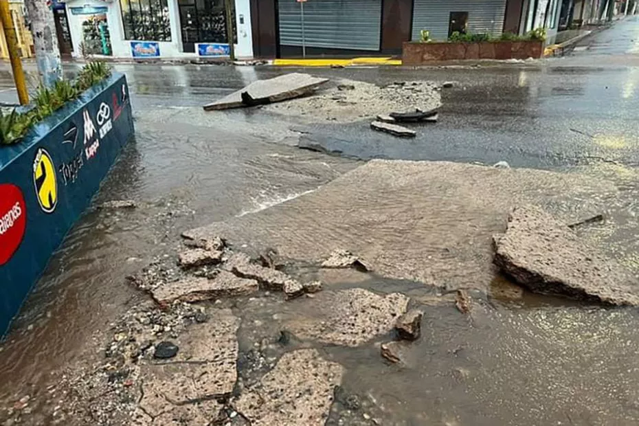 WhatsApp Image 2023-03-22 at 17.29.28