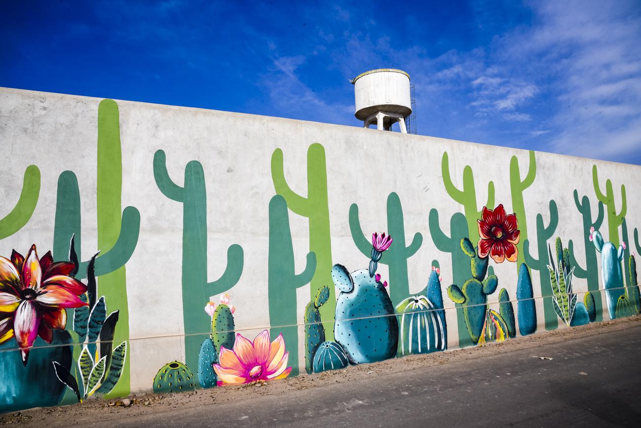 Nuevos murales (8)