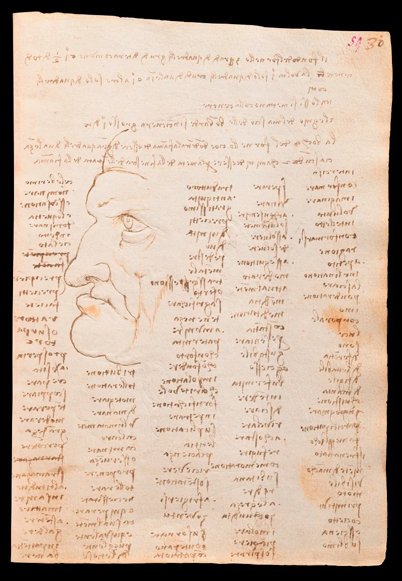 Codex Trivulzianus 2162, p. 59, Credits Archivio Storico Civico e Biblioteca Trivulziana, Google Arts _ Culture