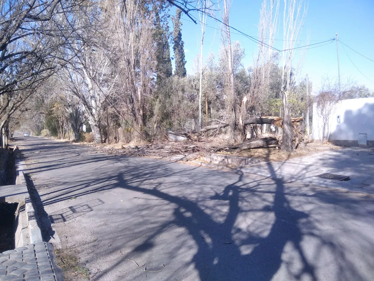 WhatsApp Image 2023-07-21 at 19.36.24 (1)