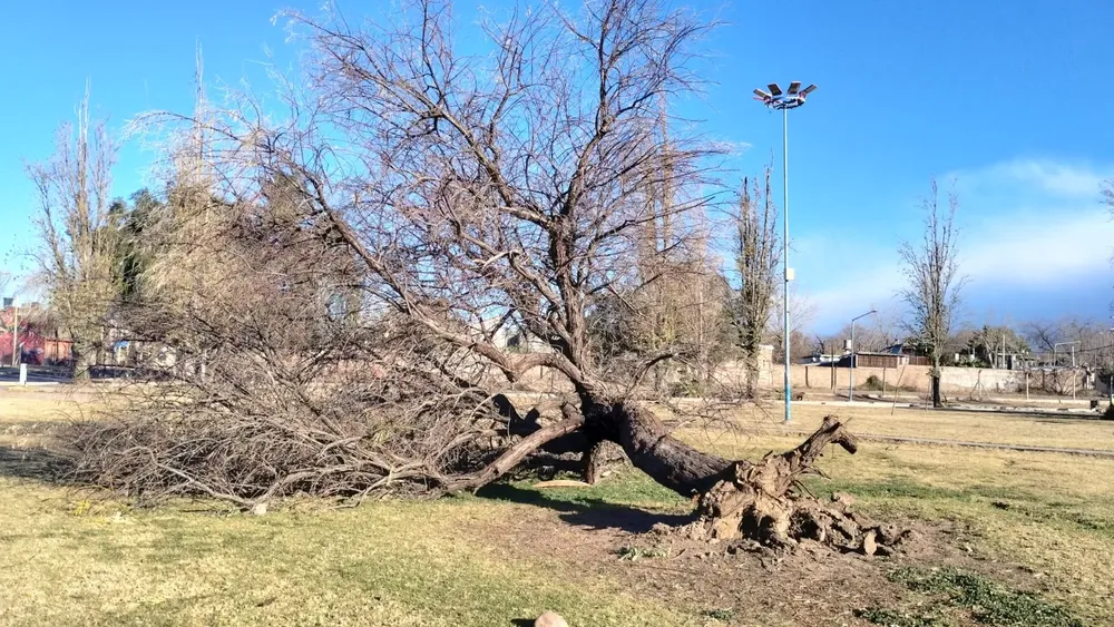 WhatsApp Image 2023-07-21 at 19.36.18