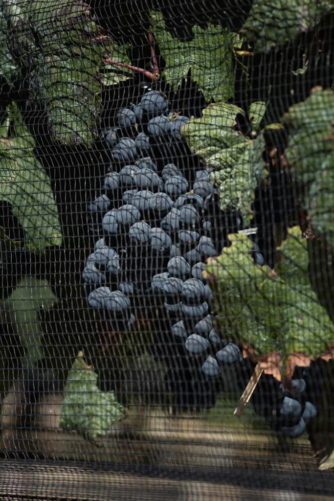 PHOTO-2023-12-28-15-12-09