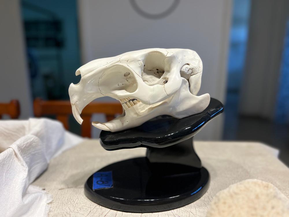 Tocar para aprender 1