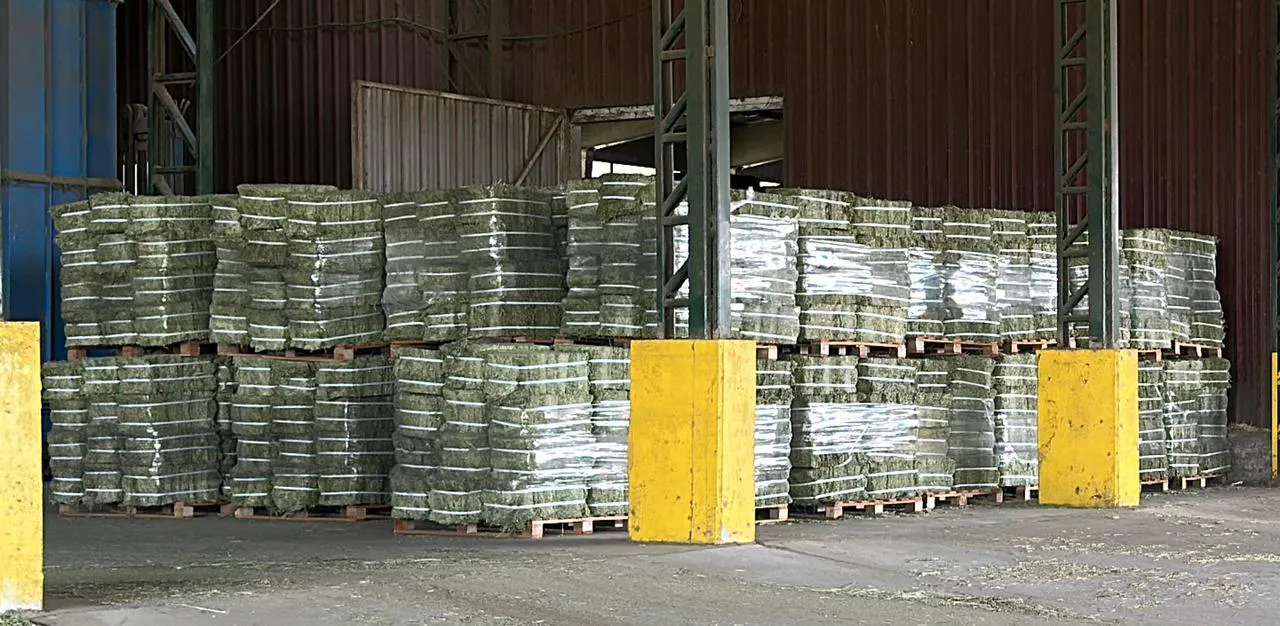 micro fardos de alfalfa