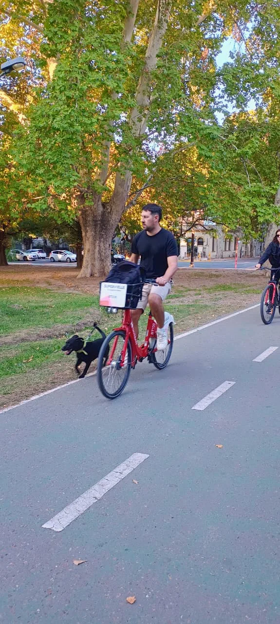 Bicitran