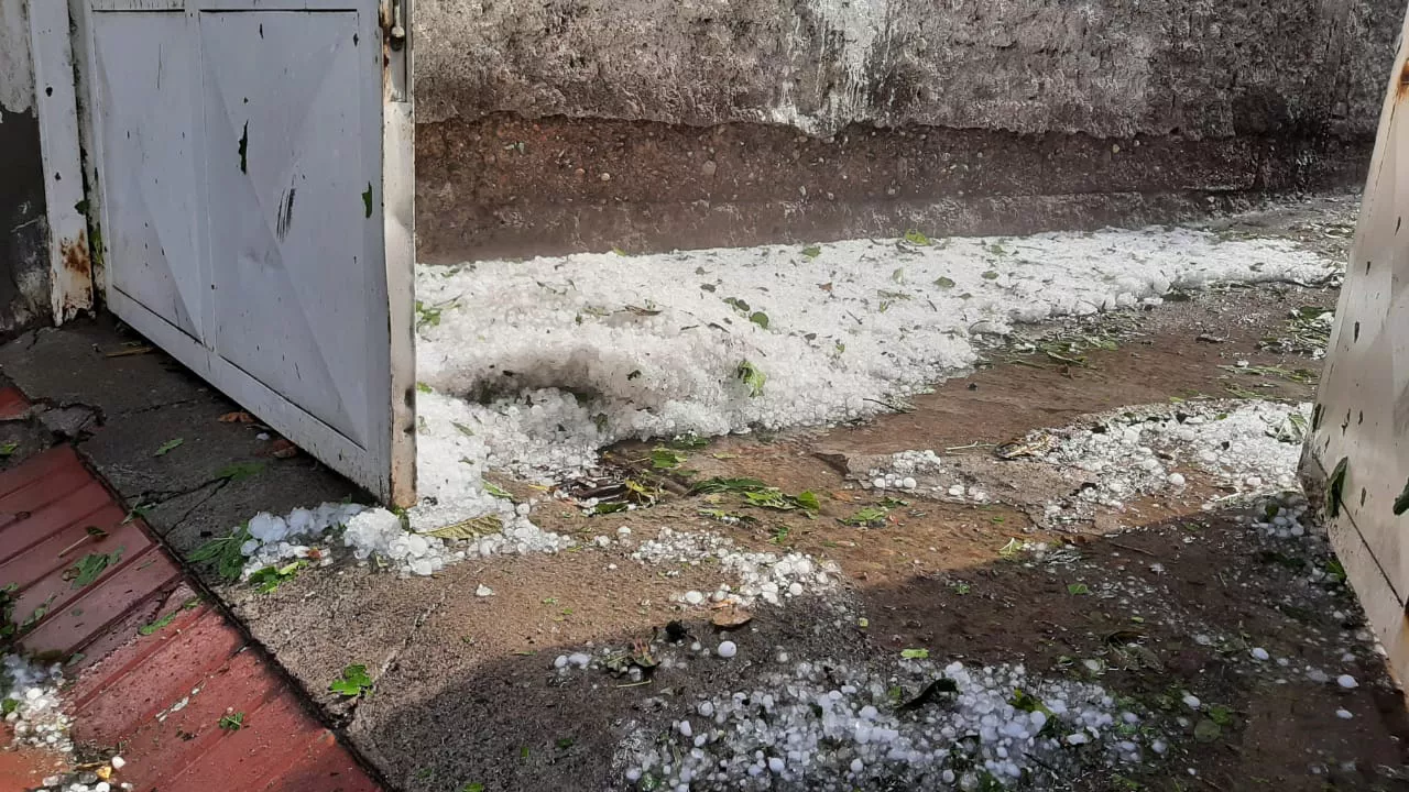 tormenta daños