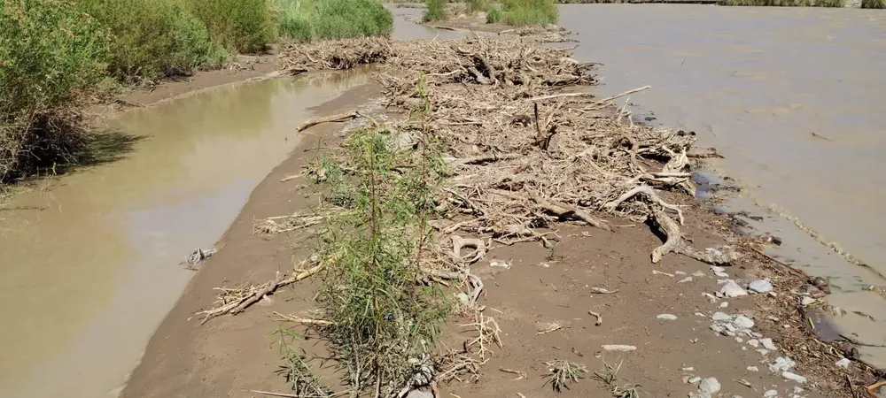 WhatsApp Image 2025-01-17 at 1.13.46 PM (1)