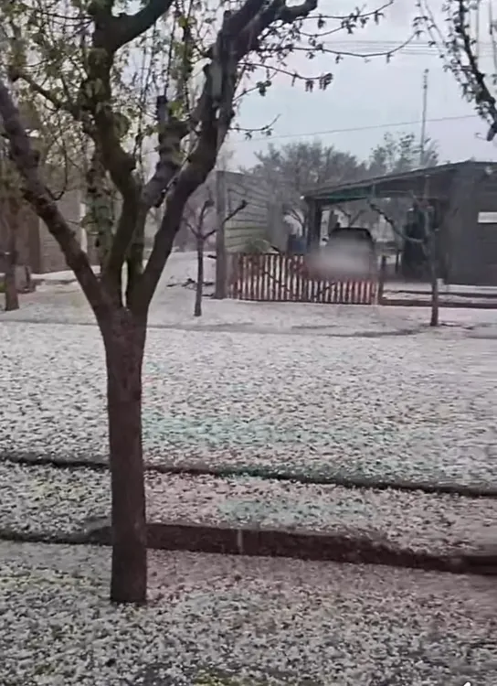 25 de Mayo San Juan 30082025