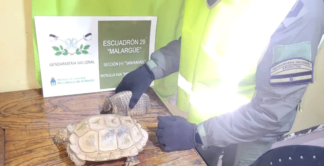 Mendoza Animales silvestres (1