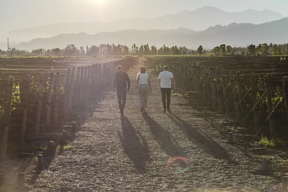 viamonte winery lodge