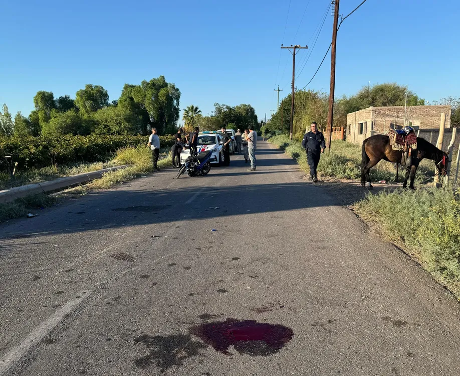 accidente caballo moto