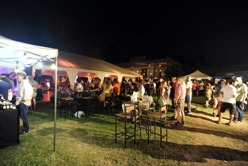 dionisias en el fader (159) jardines noche