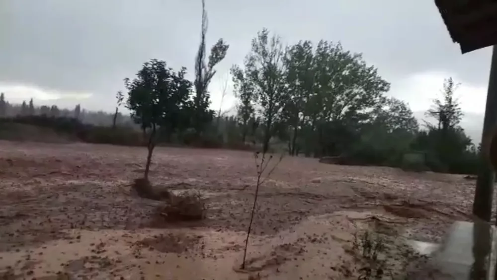 Screenshot_20230223_233126_WhatsApp