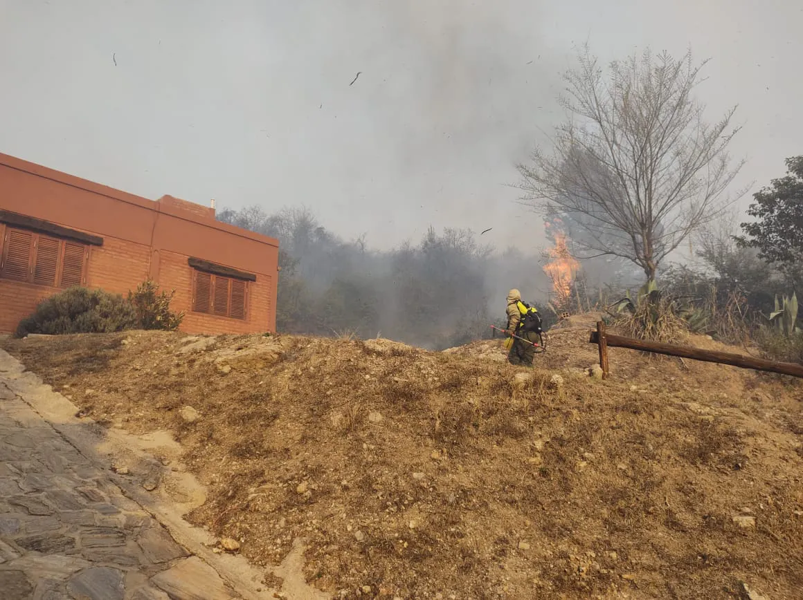 WhatsApp Image 2023-08-21 at 18.42.23