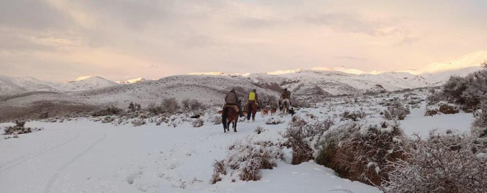 Grupo de Rescate Alta Montaña Gendarmería 