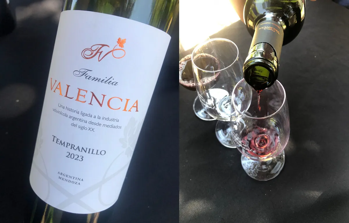 vino valencia tempranillo