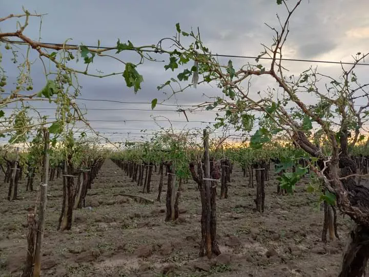 Granizo Este 12/01/23