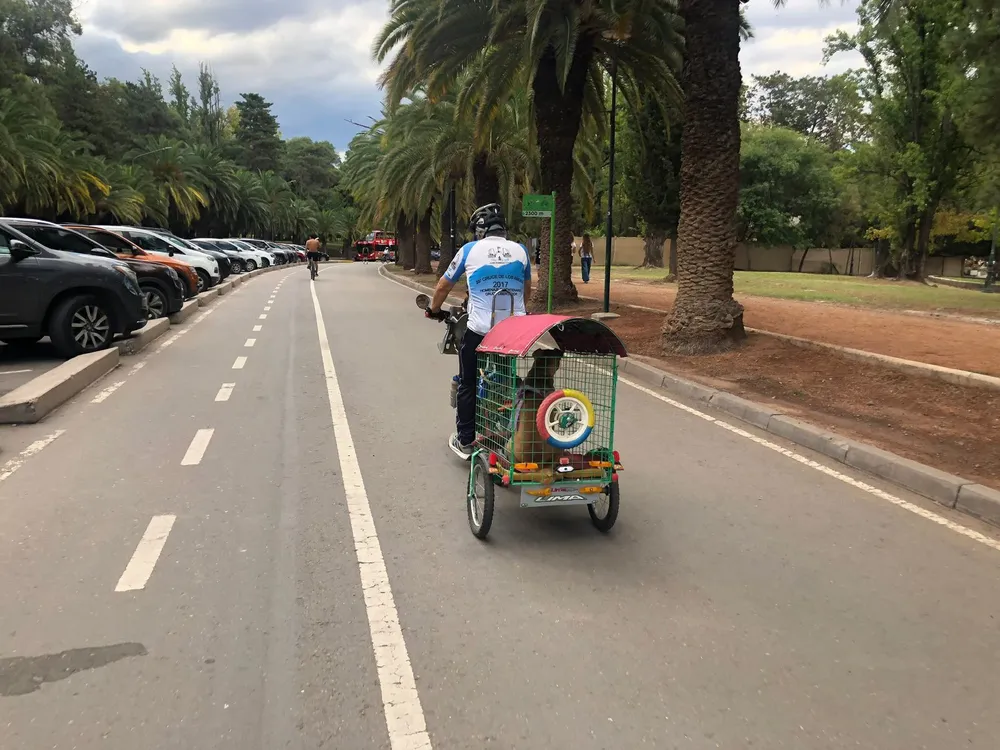 perro en bici