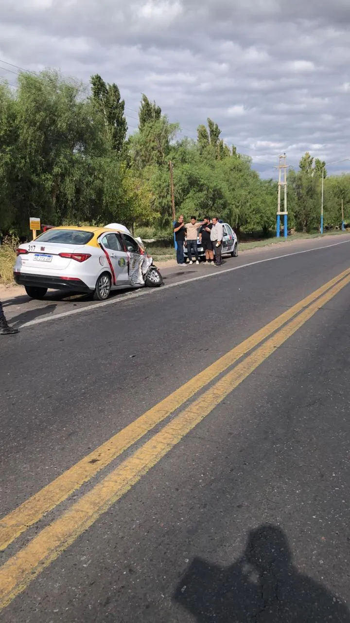 WhatsApp Image 2025-03-14 at 20.37.19