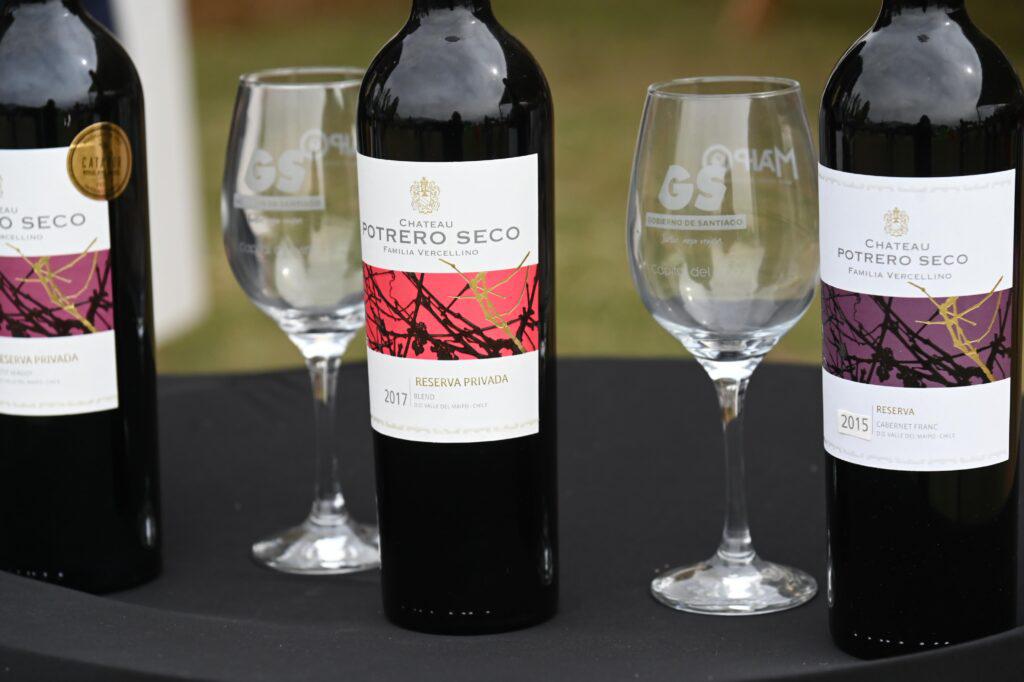 Vendimia del Valle del Maipo 2024