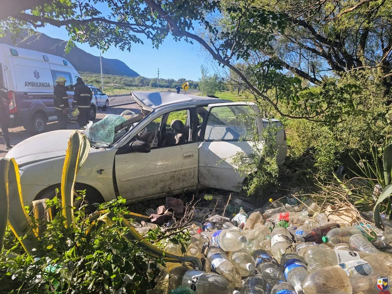 IMG-20241226-WA0016(1)