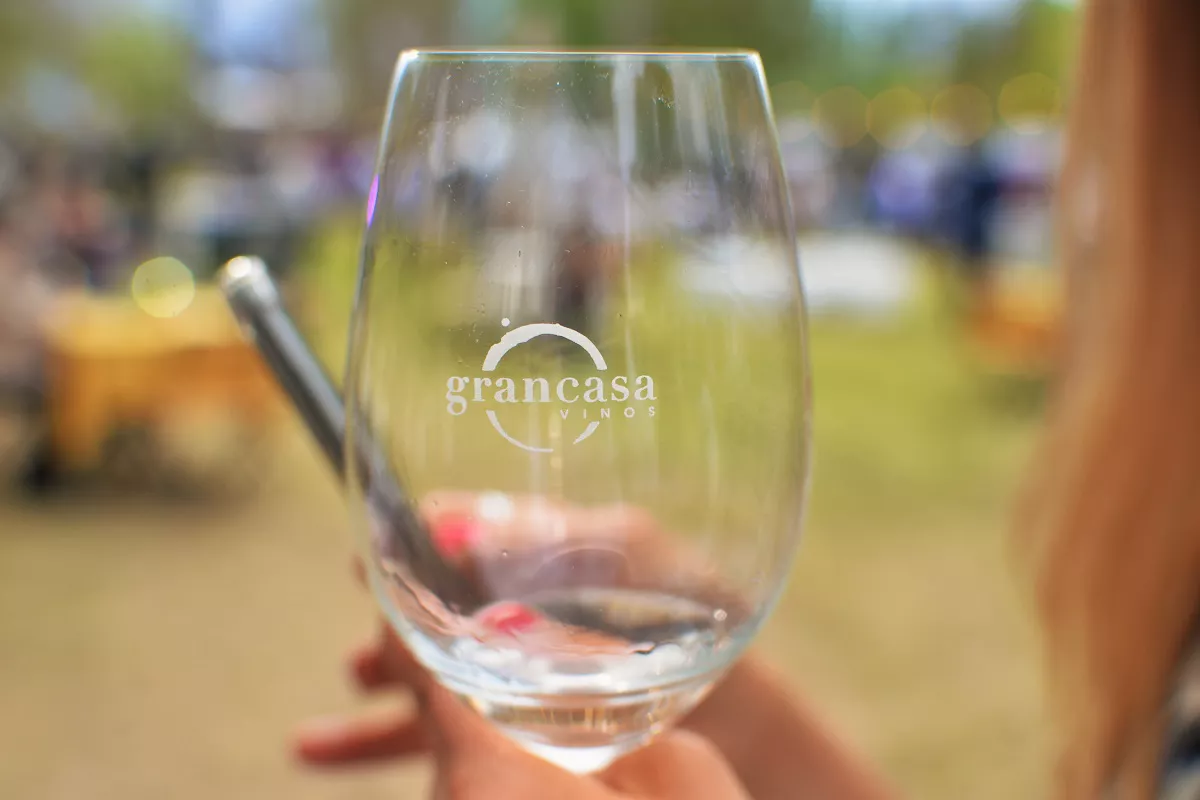 Mendoza Wine Fair - Luján de Cuyo (30)